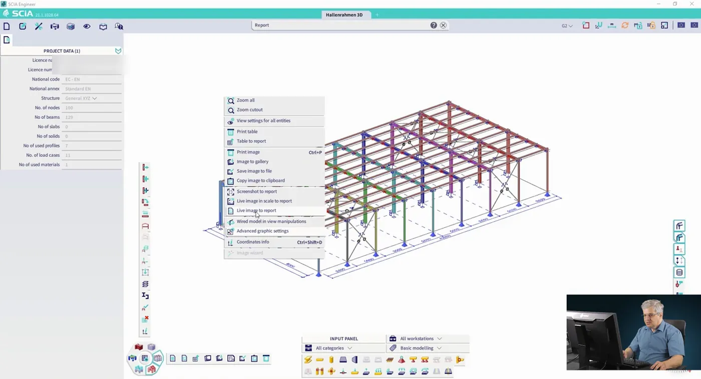 Kontekstni izbornik 3D prozora SCIA Engineer-a s naredbama Screenshot to report i Live image to report